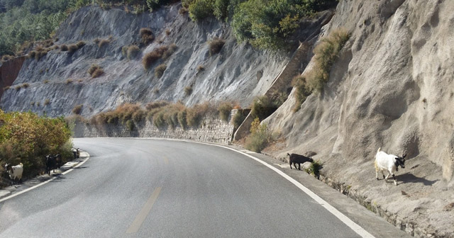 講真的，我碰到了20年后的我...