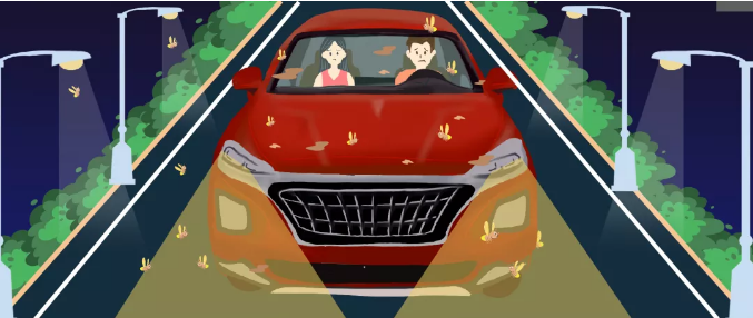 安全清除車身飛蟲，僅需十分鐘